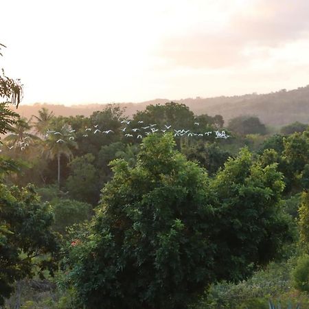 Sumba Nautil Resort Deke Zewnętrze zdjęcie