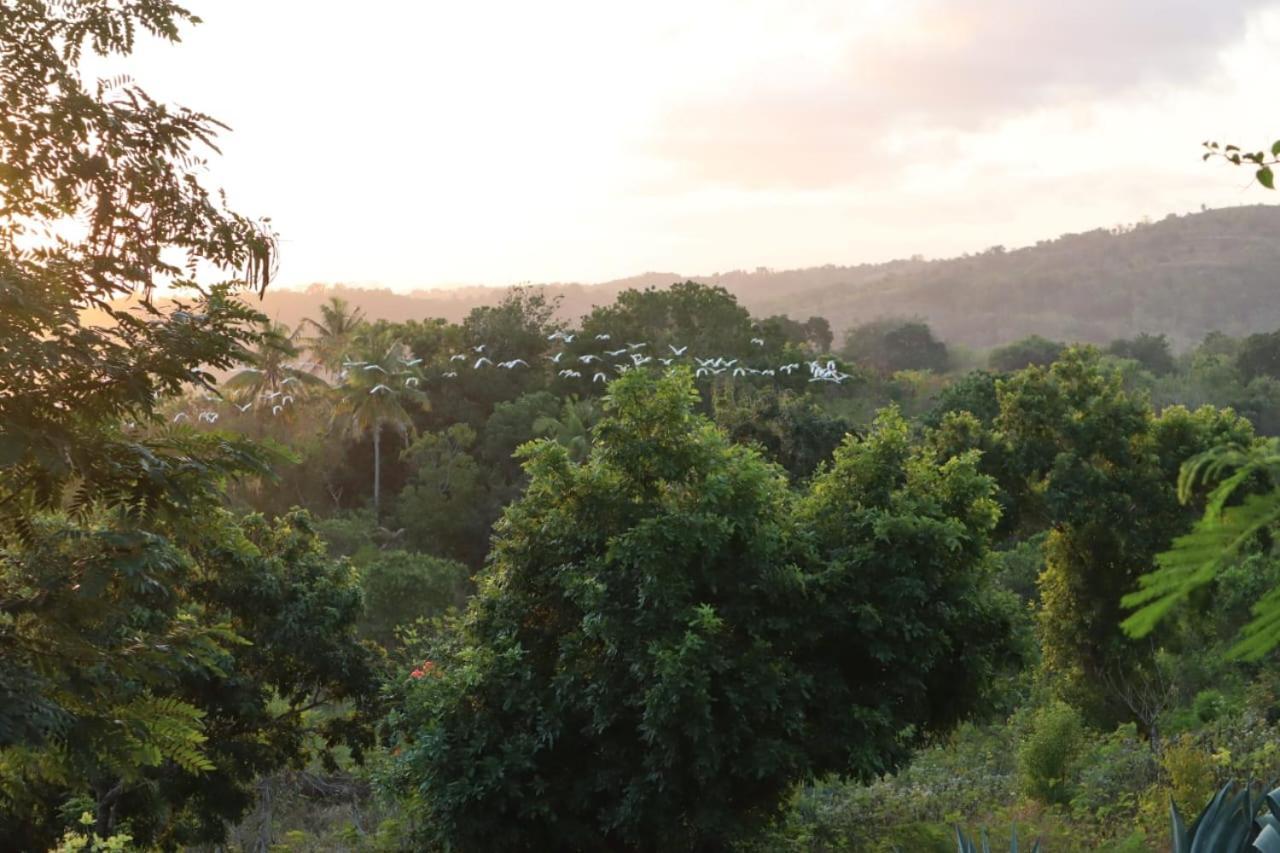 Sumba Nautil Resort Deke Zewnętrze zdjęcie