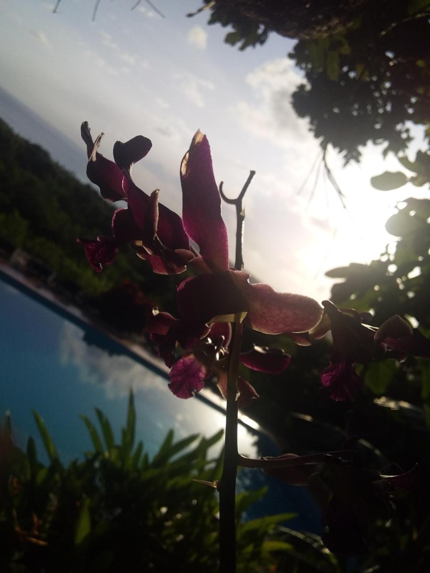 Sumba Nautil Resort Deke Zewnętrze zdjęcie