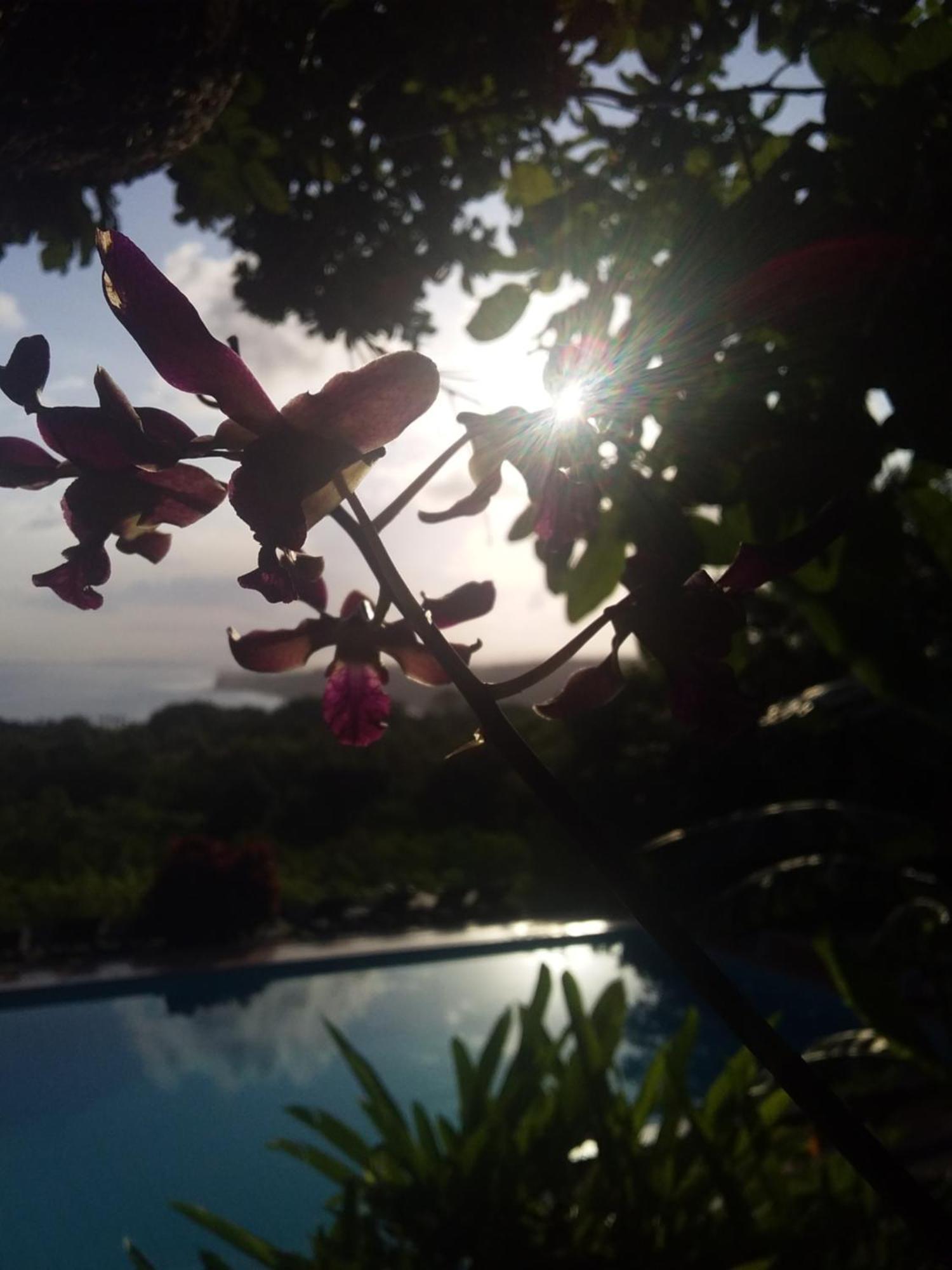 Sumba Nautil Resort Deke Zewnętrze zdjęcie